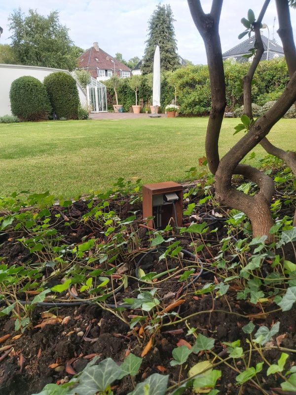 Jesmig elstik 20210819_175006