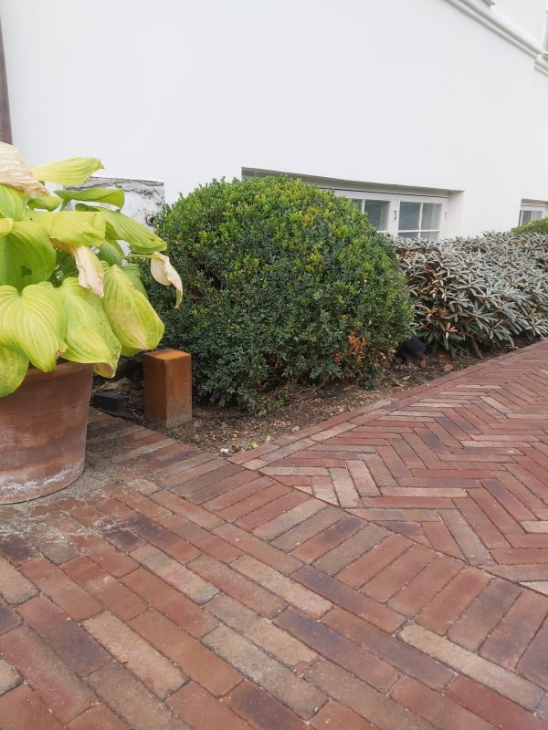 Jesmig elstik 20210819_175212